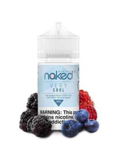 Naked 100 Very Cool